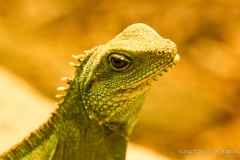IMG_9356